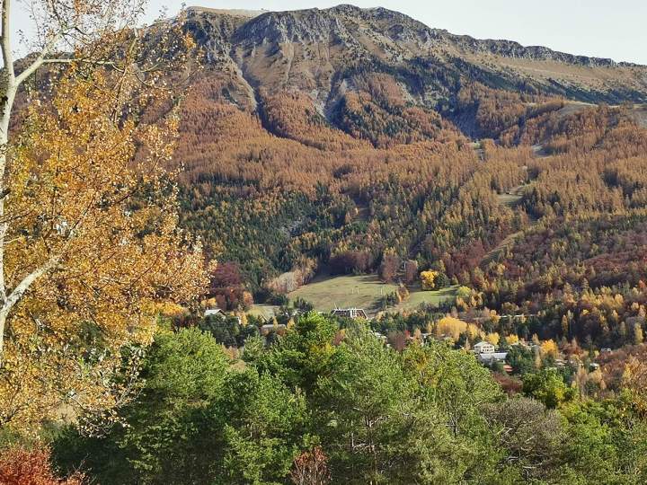 Restaurant traditionnel Montclar,